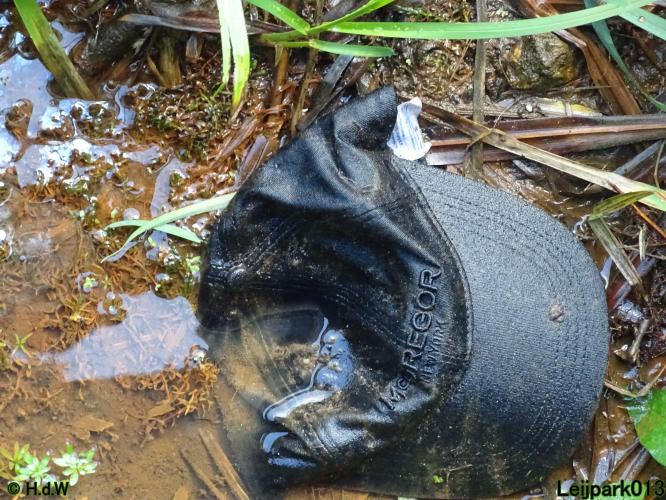 Leijpark013 24 &amp; 25 &amp; 26 &amp; 27 augustus 2022