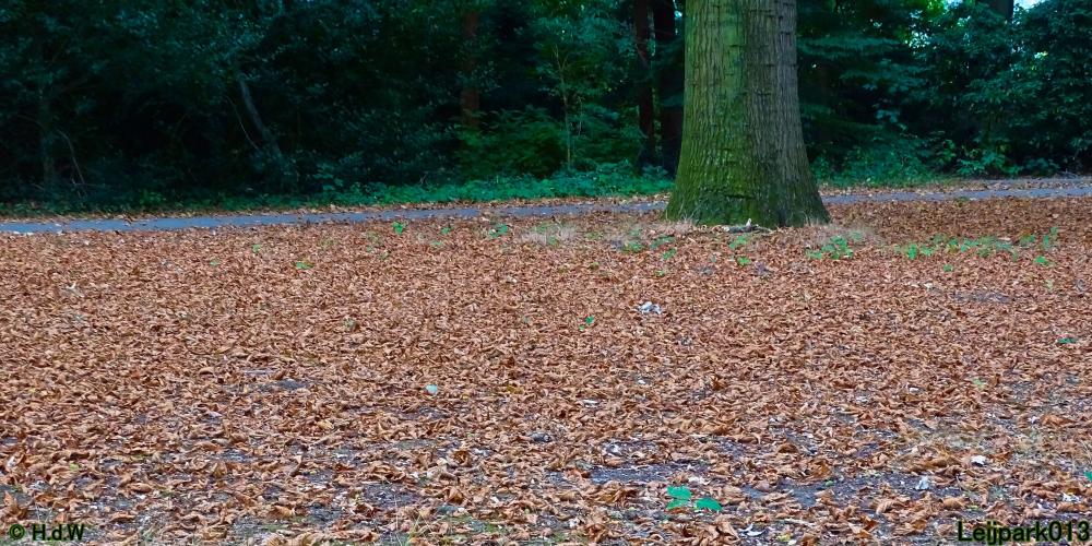 Leijpark013 24 &amp; 25 &amp; 26 &amp; 27 augustus 2022