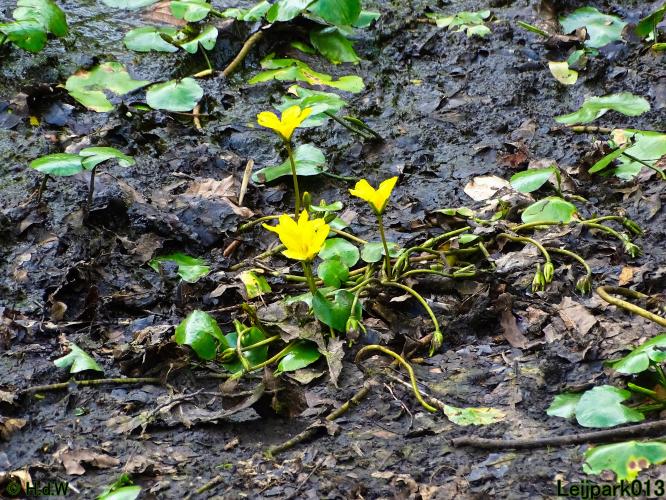 Leijpark013 24 &amp; 25 &amp; 26 &amp; 27 augustus 2022