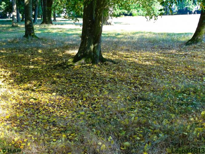 Leijpark013 24 &amp; 25 &amp; 26 &amp; 27 augustus 2022