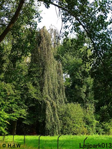 Leijpark013 24 &amp; 25 &amp; 26 &amp; 27 augustus 2022