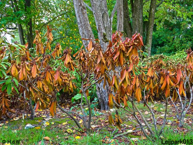 Leijpark013 24 &amp; 25 &amp; 26 &amp; 27 augustus 2022