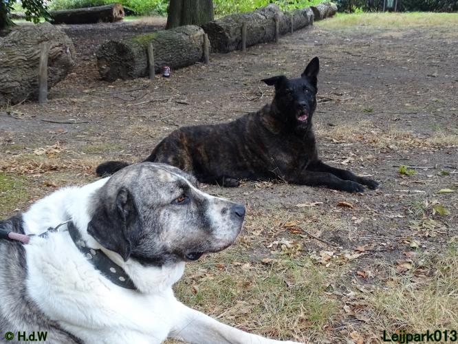 Leijpark013 Beestenboel 27 augustus 2022 