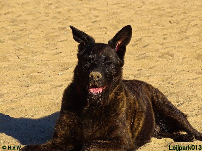 Leijpark013 Beestenboel 27 augustus 2022 