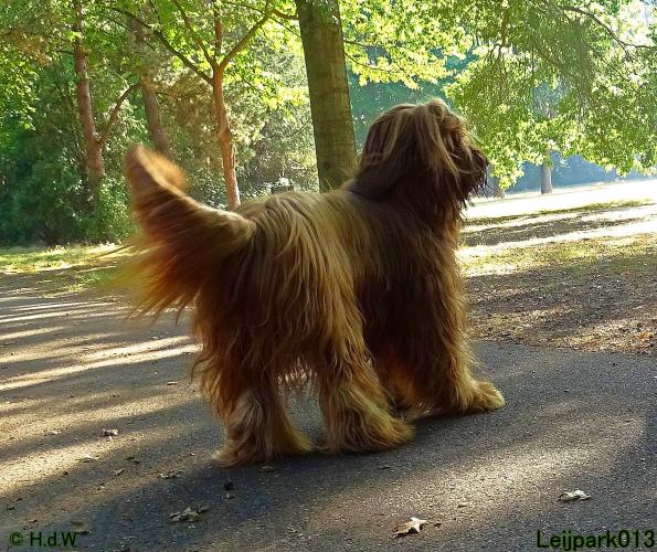 Leijpark013 Beestenboel 27 augustus 2022 