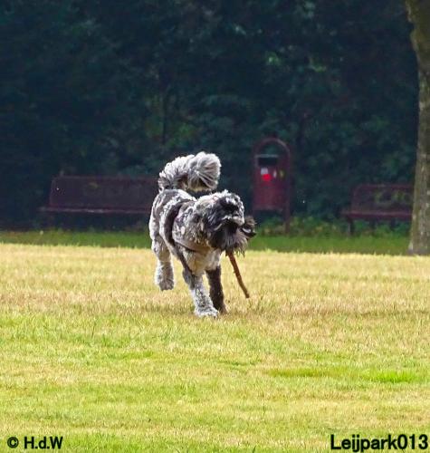 Leijpark013 Beestenboel 27 augustus 2022 