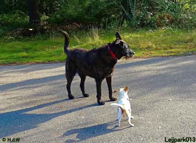 Leijpark013 Beestenboel 27 augustus 2022 