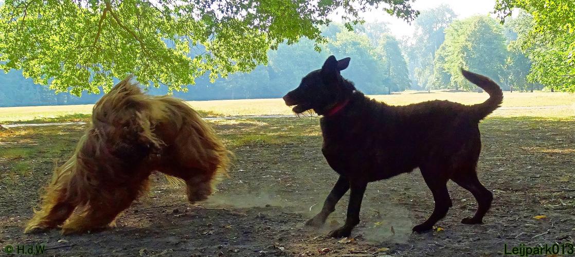 Leijpark013 Beestenboel 27 augustus 2022 