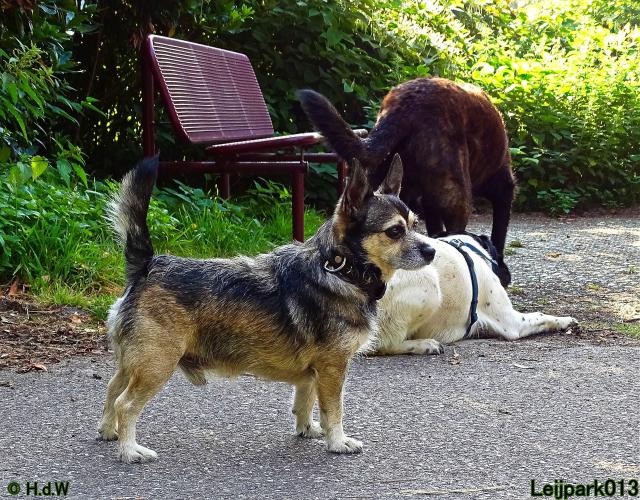 Leijpark013 Beestenboel 27 augustus 2022 