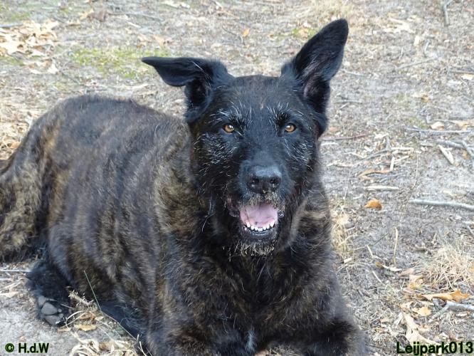 Leijpark013 Beestenboel 27 augustus 2022 