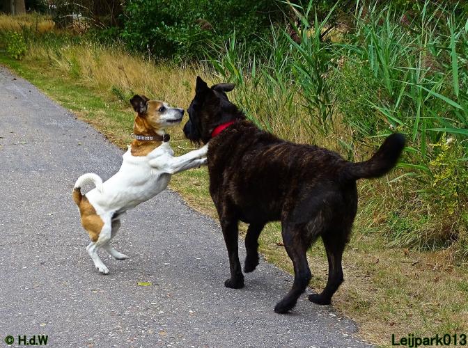 Leijpark013 Beestenboel 27 augustus 2022 