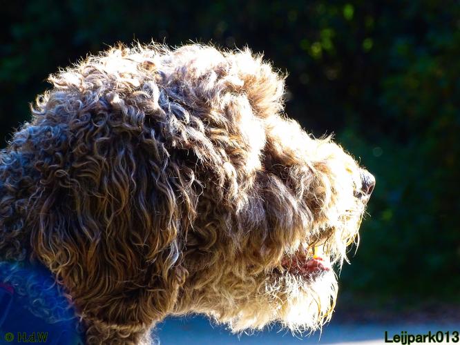 Leijpark013 Beestenboel 27 augustus 2022 