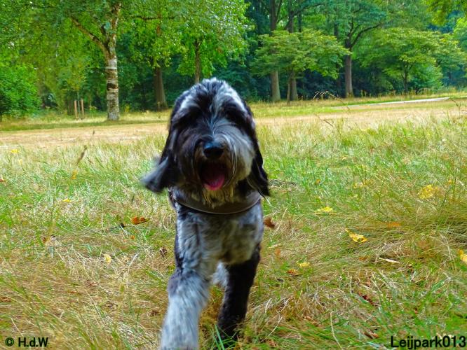 Leijpark013 Beestenboel 27 augustus 2022 