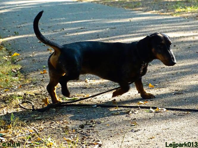 Leijpark013 Beestenboel 27 augustus 2022 