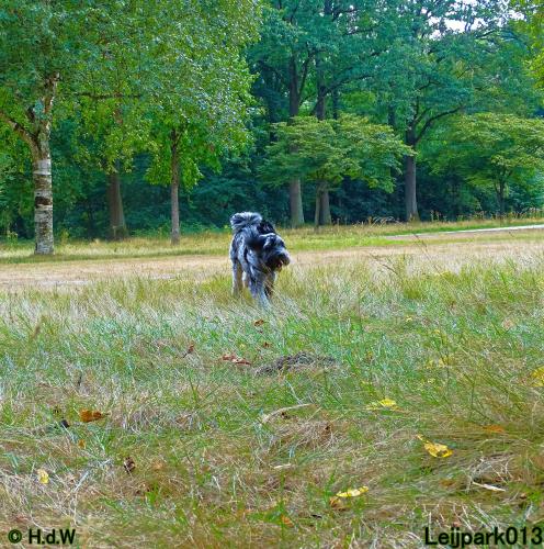 Leijpark013 Beestenboel 27 augustus 2022 