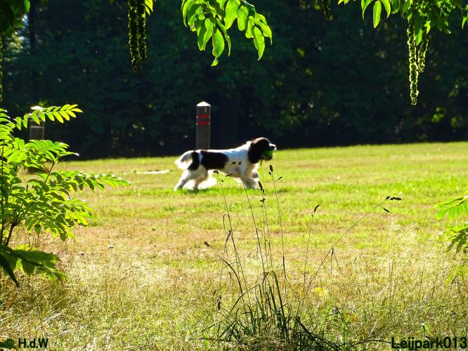 Leijpark013 Beestenboel 27 augustus 2022 