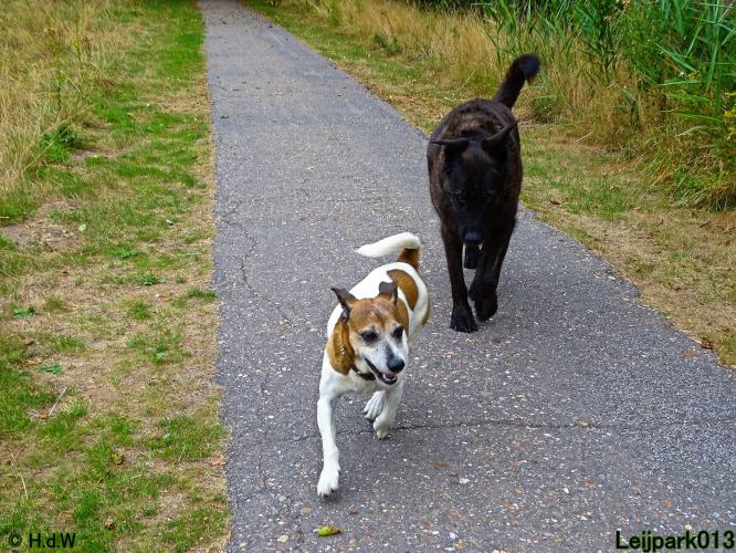 Leijpark013 Beestenboel 27 augustus 2022 