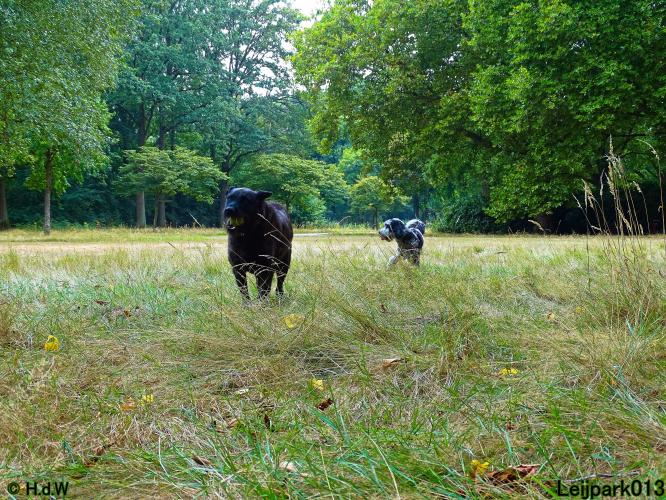 Leijpark013 Beestenboel 27 augustus 2022 