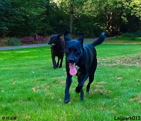 Leijpark013 Beestenboel 8 september 2022 