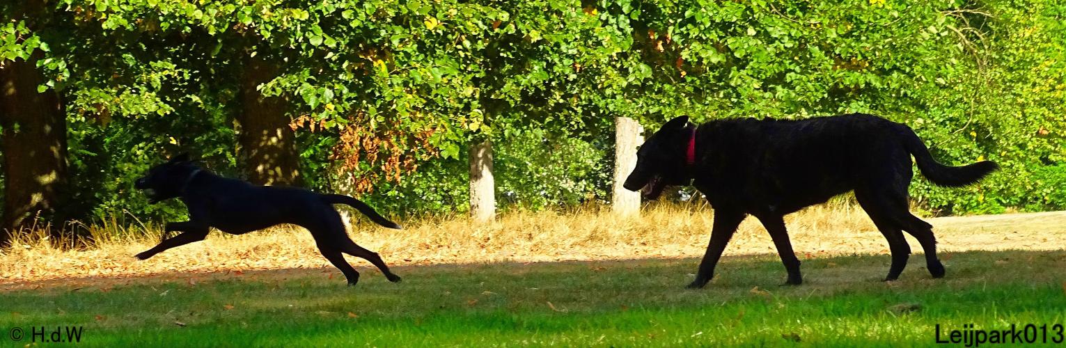 Leijpark013 Beestenboel 8 september 2022 