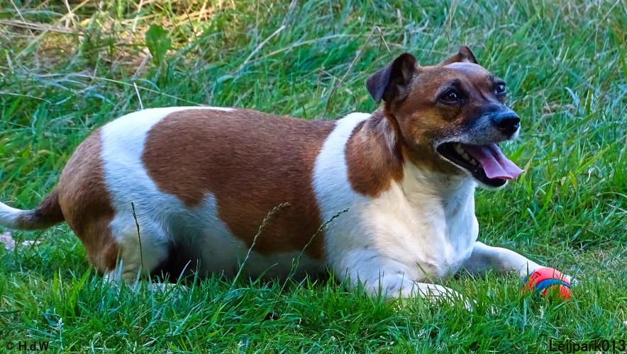 Leijpark013 Beestenboel 8 september 2022 