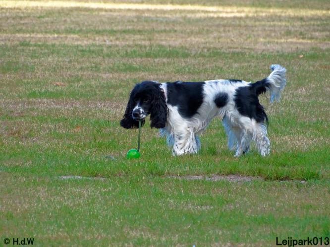 Leijpark013 Beestenboel 8 september 2022 