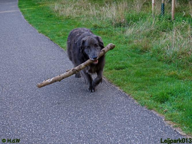 Leijpark013 Beestenboel 8 september 2022 