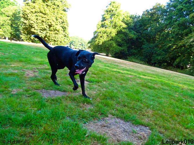 Leijpark013 Beestenboel 8 september 2022 