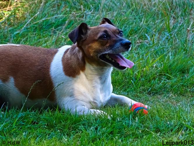 Leijpark013 Beestenboel 8 september 2022 