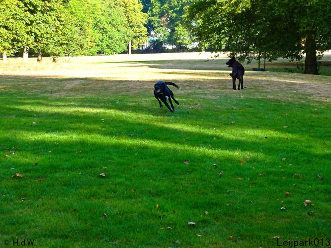 Leijpark013 Beestenboel 8 september 2022 