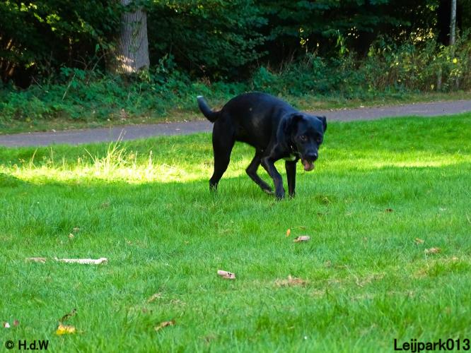 Leijpark013 Beestenboel 8 september 2022 