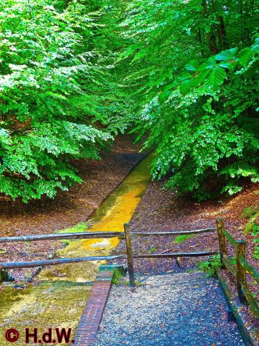 Loenense Waterval 10 september 2022 