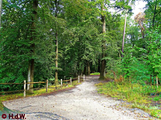 Loenense Waterval 10 september 2022 