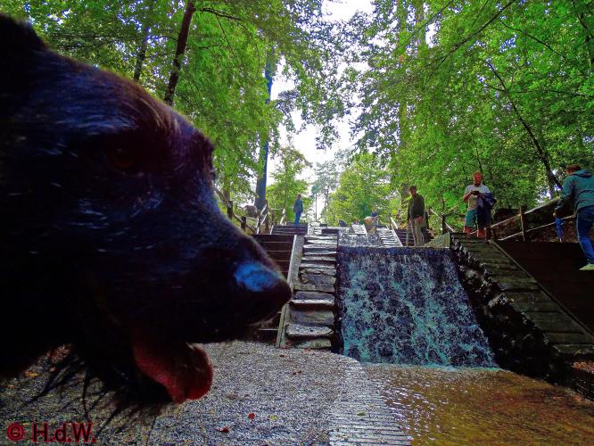 Nationaal Ereveld Loenen 10 september 2022 