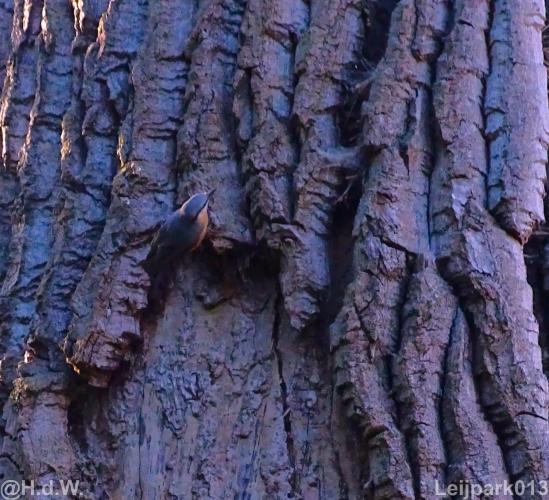 Leijpark013 12 september 2022