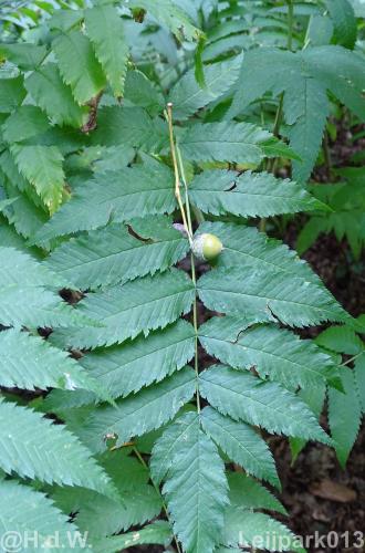 Leijpark013 12 september 2022