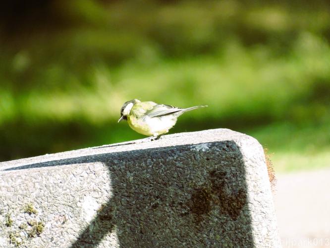 Leijpark013 12 september 2022