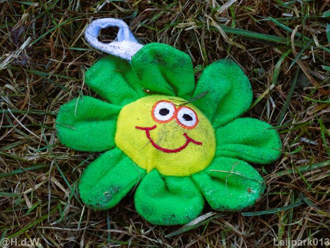 Leijpark013 12 september 2022