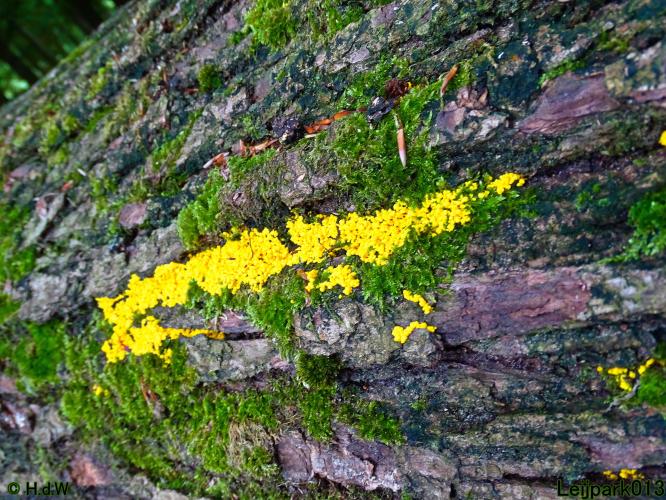 Leijpark013 12 september 2022