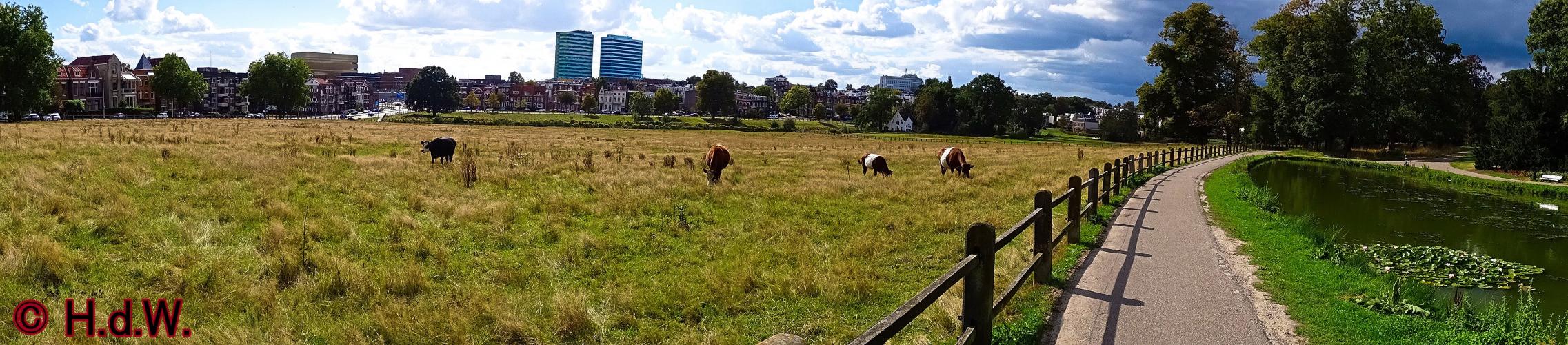 Sonsbeek park Arnhem 15-9-2022