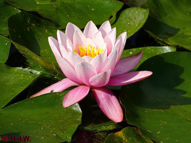 Sonsbeek park Arnhem 15-9-2022