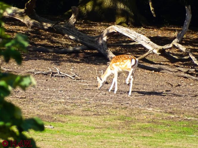 Sonsbeek park Arnhem 15-9-2022