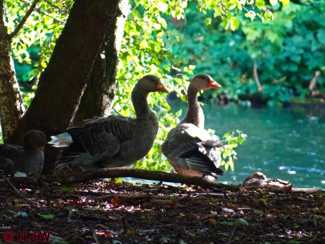 Sonsbeek park Arnhem 15-9-2022
