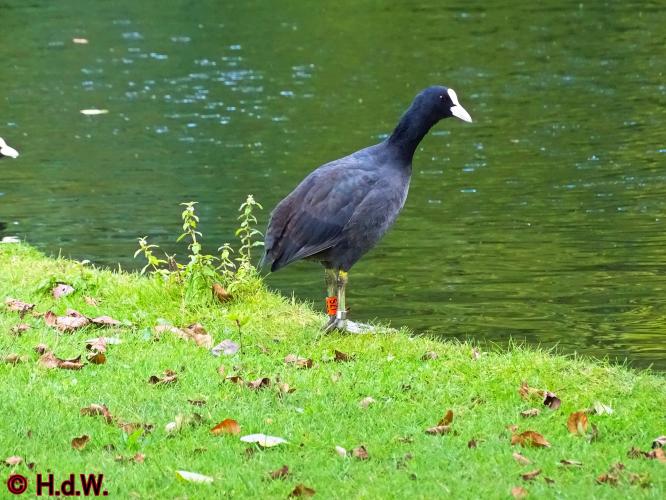 Sonsbeek park Arnhem 15-9-2022