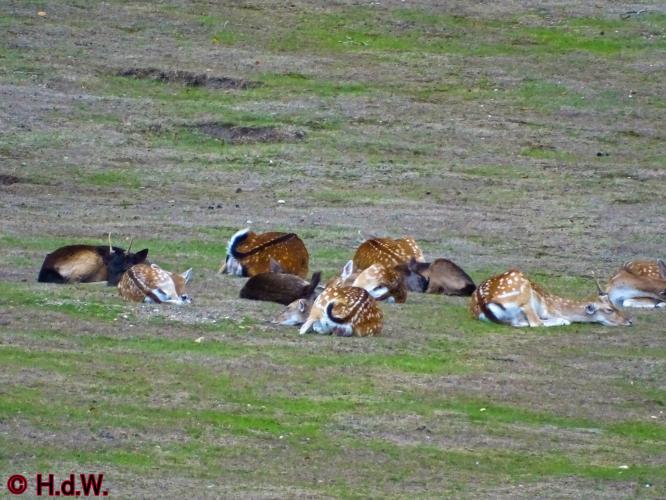 Sonsbeek park Arnhem 15-9-2022