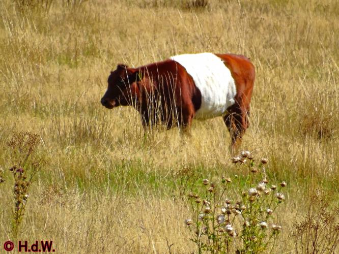 Sonsbeek park Arnhem 15-9-2022