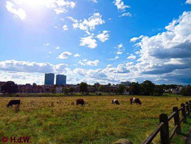 Sonsbeek park Arnhem 15-9-2022