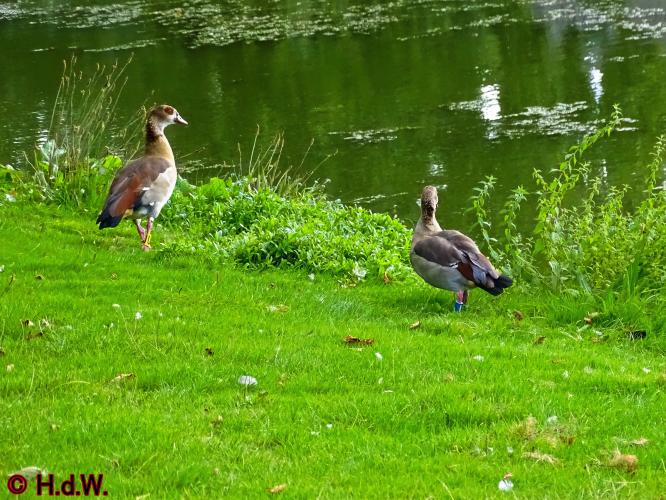 Sonsbeek park Arnhem 15-9-2022