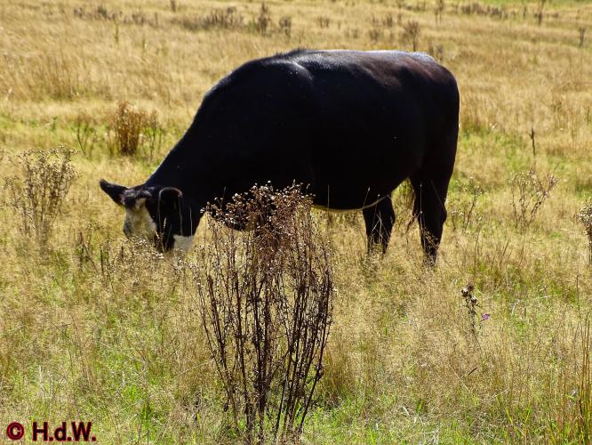 Sonsbeek park Arnhem 15-9-2022