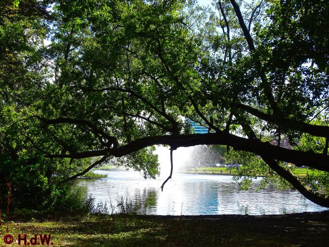 Sonsbeek park Arnhem 15-9-2022